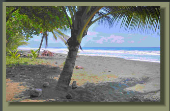 3500 M2 Beach Lot in Carate the Corcovado Park entrance, perfect for residential or low impact Eco Tourism Project.