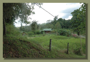 a view of the new House, from the old farm house that was the only one in this great Osa Peninsula  Real Estate