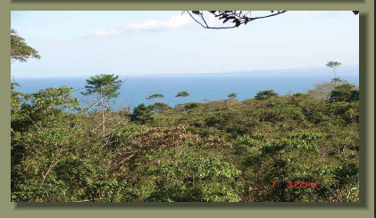 The Oceanview from the top of this Oceanfront Forest Property of the Osa Peninsula