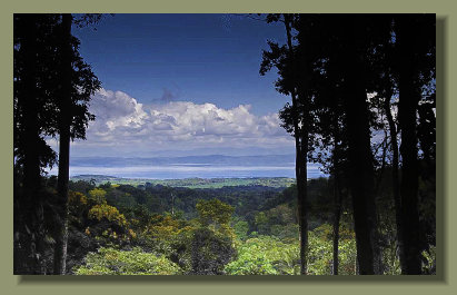 Beautiful Ocean View Though the trees of this Forest Farm  Land on the Hills of the central Osa Peninsula , a Real Estate