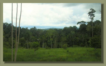 The Oceanview from the top of the Forest Farm Land Property in the Osa Peninsula