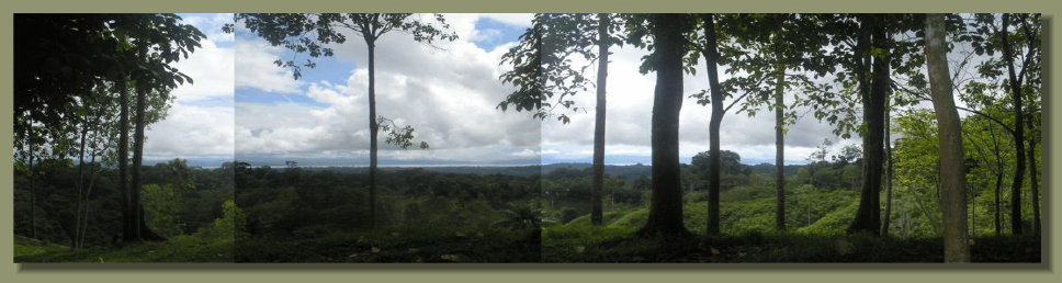 A Panoramic view of the Forest Farm Land in the Osa Peninsula, with a view of the Golfo Dulce