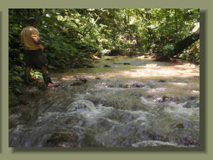 A nice creek runs in the middle of the forest, and offer Pure Fresh Water for human and agricultural use in a Osa peninsula pro