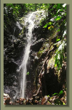 One of the several waterfalls that are present in this FOrest Land in the central ridge of the Osa Peninsula, great real estate
