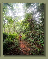 The trail access to the Forest Farm Land that is located on the Mountains of the Osa Peninsula, Costa Rica
