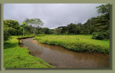 The river that runs between good pasture land of the Farm Forest Land Property in the central Osa Peninsula, 