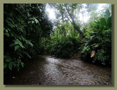 The river that runs inside the Farm Forest Land Property in the central Osa Peninsula, make this one of the best Real Estate 