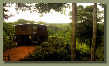 A simple wooden house in the Farm Land area of a Rainforest  Property in the Osa peninsula, Costa Rica