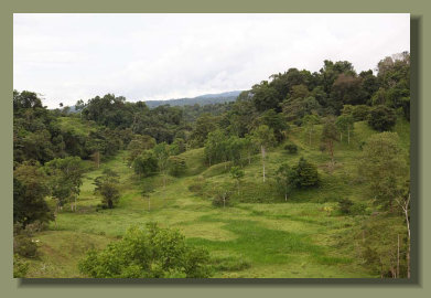 the nice pasture land in the valley of this Osa PEninsula Farm Forest Land
