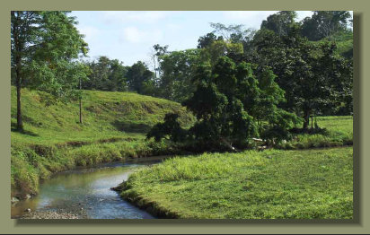 the river that runs in the Pasture Land of this Osa Peninsula Farm Real Estate in the south Costa Rica
