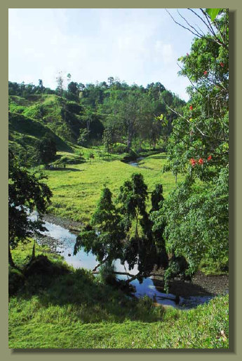 Another Farm Land Forest Land in the central Osa Peninsula with River and Fresh Water Spring A Real Estate