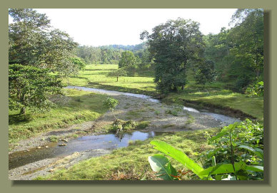 A Farm Land Forest Land in the central Osa Peninsula with River and Fresh Water Spring A Real Estate