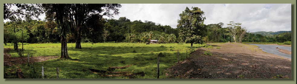 A beatutiful Riverside Farm Forest Land with good fresh water springs in the Osa Peninsula Real Estate area