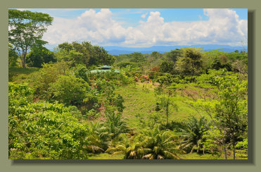 The Beautiful House in a 5 Hectares Farmland Property in the central Osa Peninsula South Costa Rica