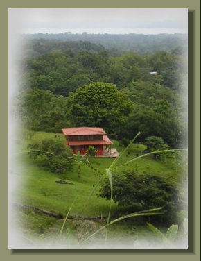 view of the House from an elevated point of the farm Land of this Osa Peninsula Property