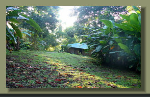 the garden around the Forest Land Farm Land House of this Osa Peninsula Property