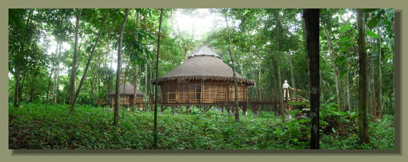 Eco villa built in a Forest Riverside Lot in the Osa Peninsula